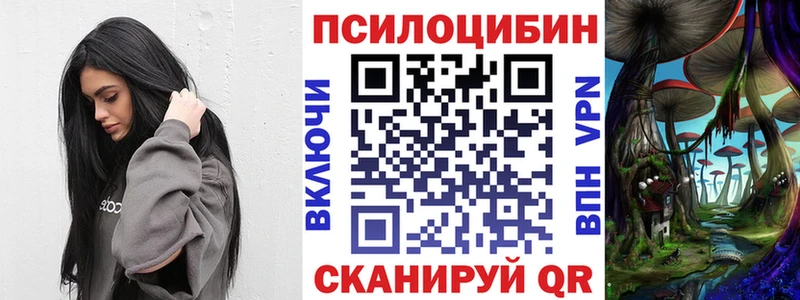 Купить закладки  Невель  Псилоцибиновые грибы MAGIC MUSHROOMS 
